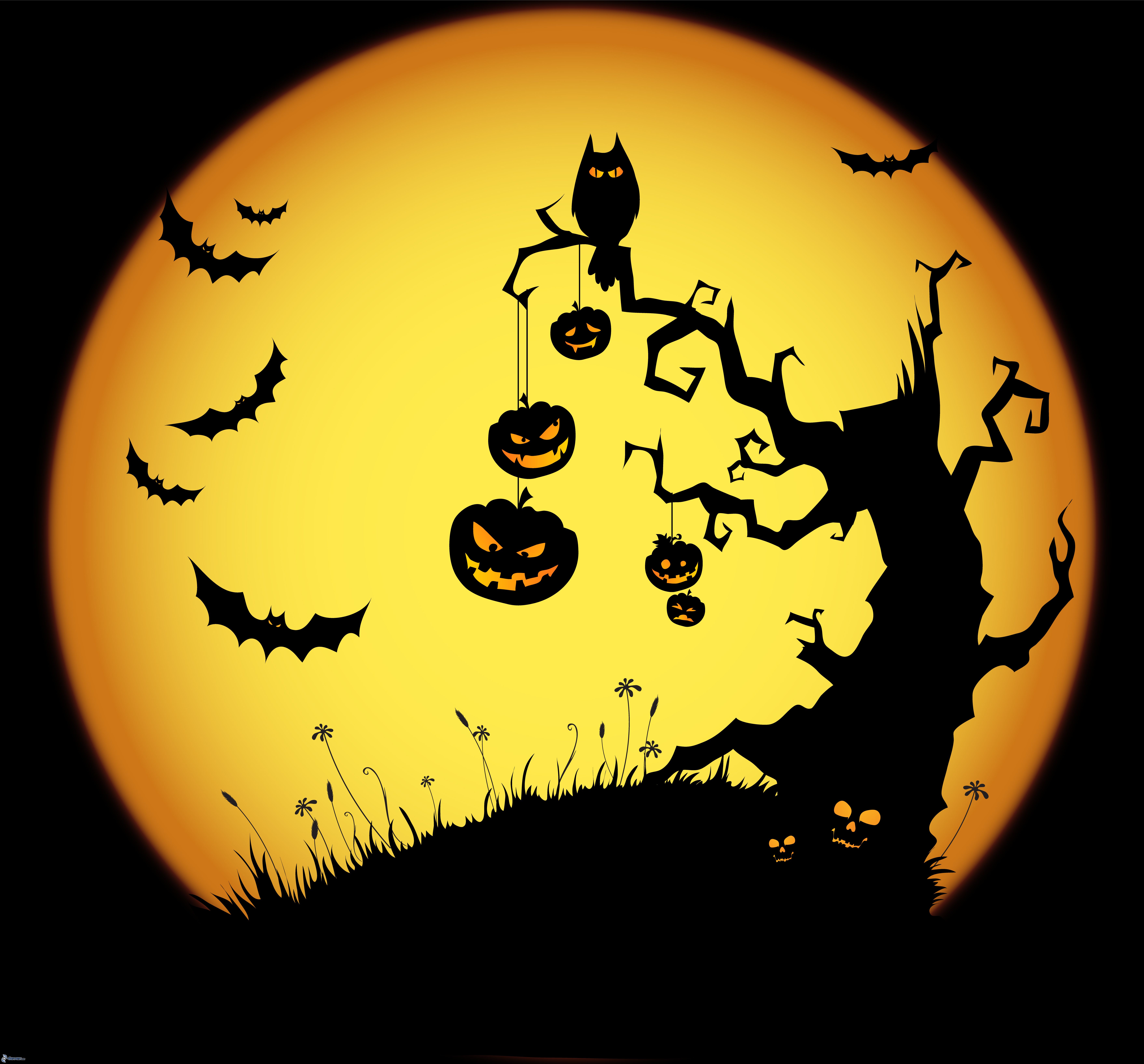 Sejarah Asal-Usul Malam 31 Oktober Tradisi Perayaan Halloween