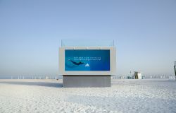 Were the Cannes Lions' print and outdoor winners actually effective ads? Here's the answer