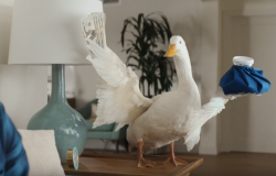 Marketing Advertising Design And Digital News The Drum