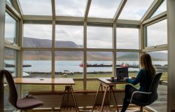 Frog weighs in on whether taking things in-house enhances commercial success / Kristin Wilson via Unsplash