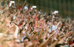 Everything you need to know to create social like a superfan