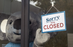 Koala closes business to raise awareness of namesakes