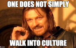 One does not simply walk into culture: Why brands must venture beyond the mainstream